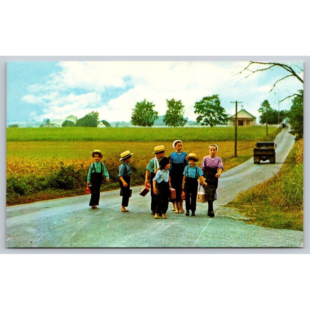 Vintage Amish Country Postcard Marshall Dussinger Lancaster PA School Children